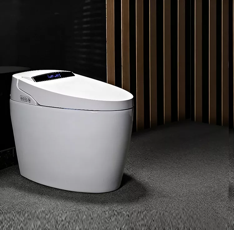 I-Flip-Top Smart Toilet Esebenza Ngonyawo