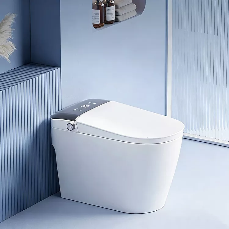 Isikrini esikhulu seDigital Display Knob Smart Toilet