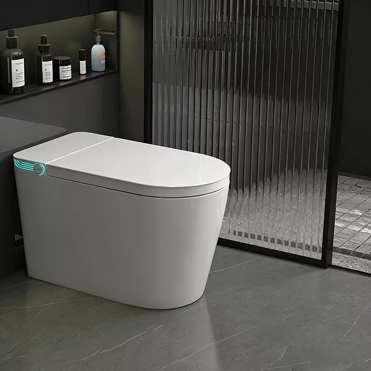 Isifutho Esilawulwe kude Esilawuliwe Esilawuliwe Esingenantambo I-Nozzle Sterilization Smart Toilet